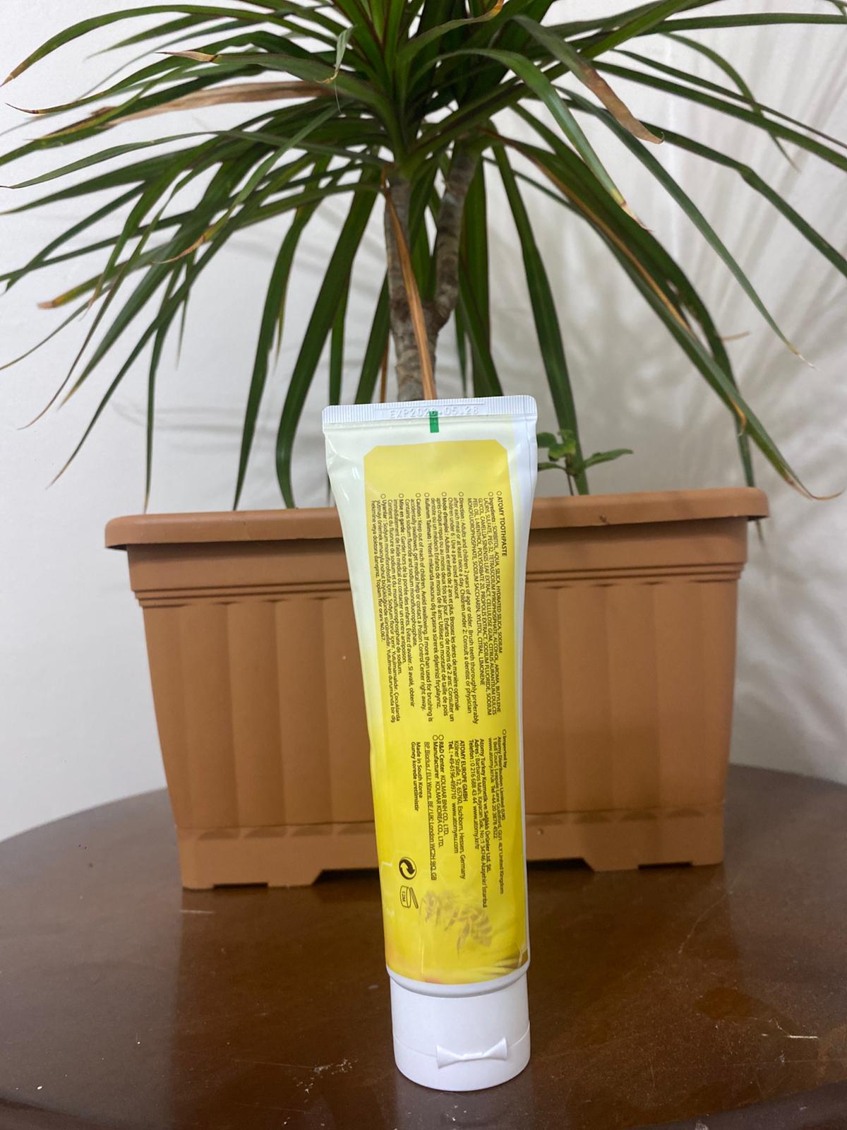 Atomy Toothpaste – Propolis Özlü Diş Macunu 200g